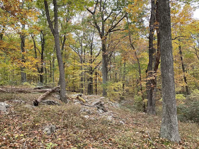 Beech Trail Picture 10