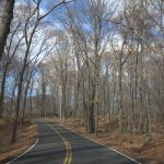 Seven Lakes Drive