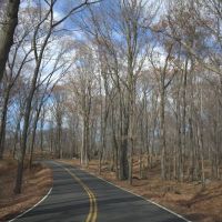 Seven Lakes Drive ico