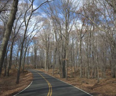 Seven Lakes Drive