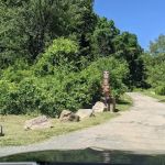 Lake Welch Boat Launch Entrance (by PERMIT and KEY only)
