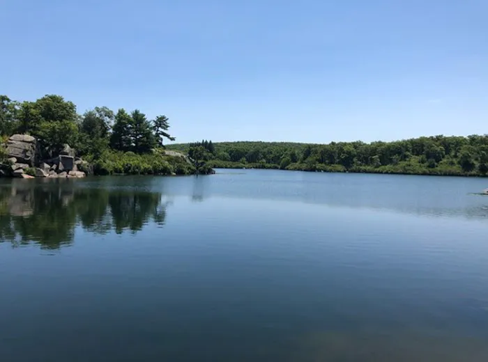 Racoon Brook Hill Picture 9