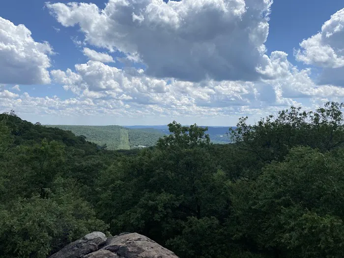 Racoon Brook Hill Picture 7