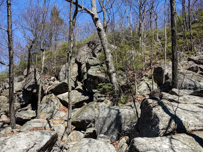 Racoon Brook Hill Picture 2