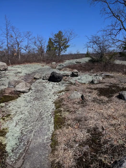 Racoon Brook Hill Picture 1