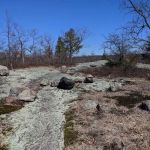 Racoon Brook Hill