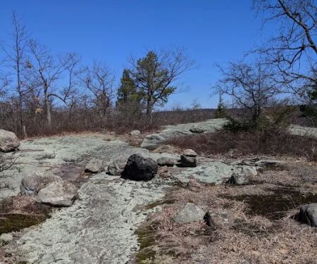 Racoon Brook Hill