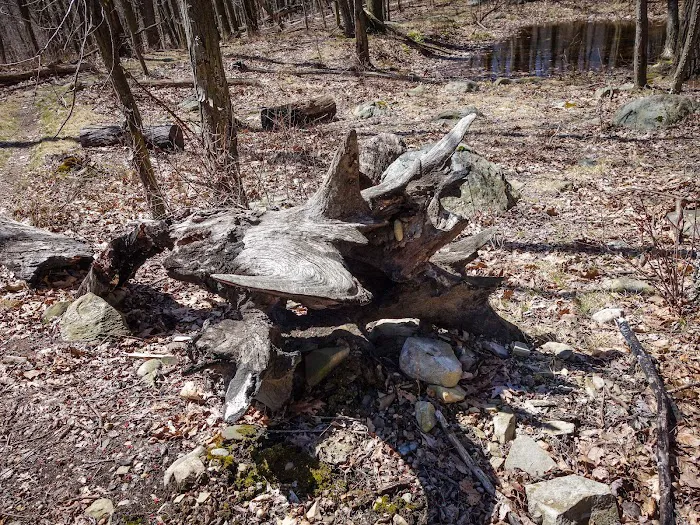 Catamount Mountain Picture 2