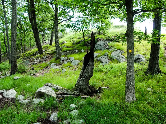 Catamount Mountain Picture 8