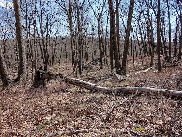 Catamount Mountain Picture 4