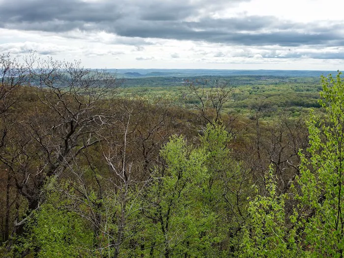 Catamount Mountain Picture 6