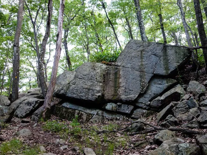 Catamount Mountain Picture 9