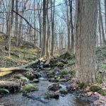 Blue Mountain Summit Trail Head