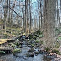 Blue Mountain Summit Trail Head ico