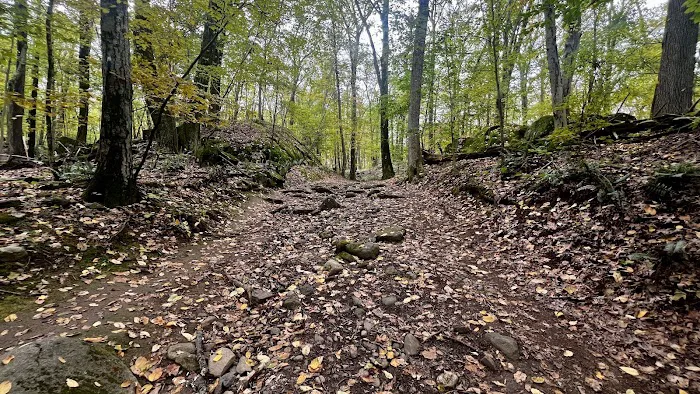 Blue Mountain Summit Trail Head Picture 4