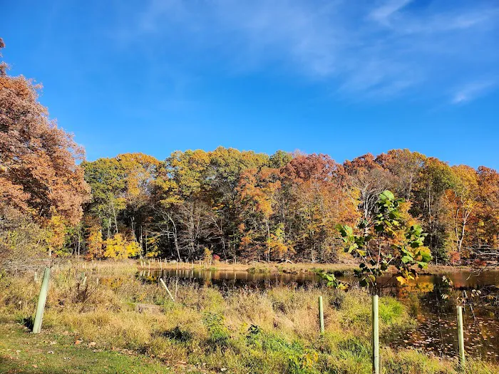 Blue Mountain Reservation Loop Picture 9