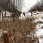 Blue Mountain Reservation Loop