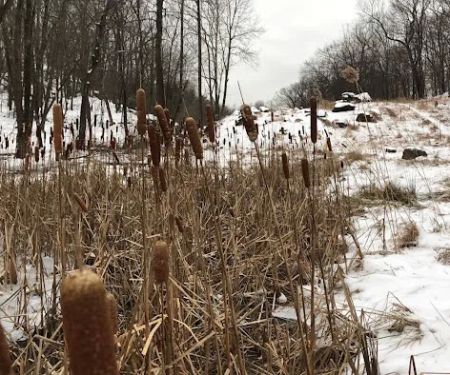 Blue Mountain Reservation Loop