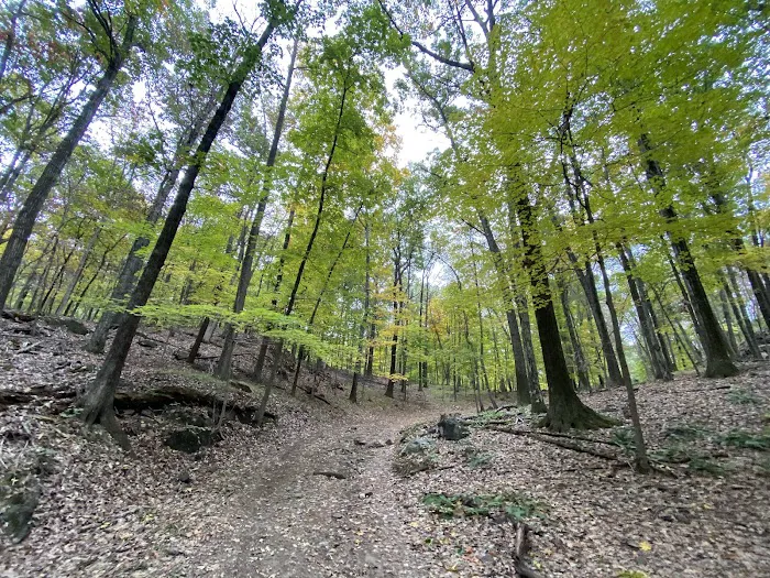Blue Mountain Reservation Loop Picture 5