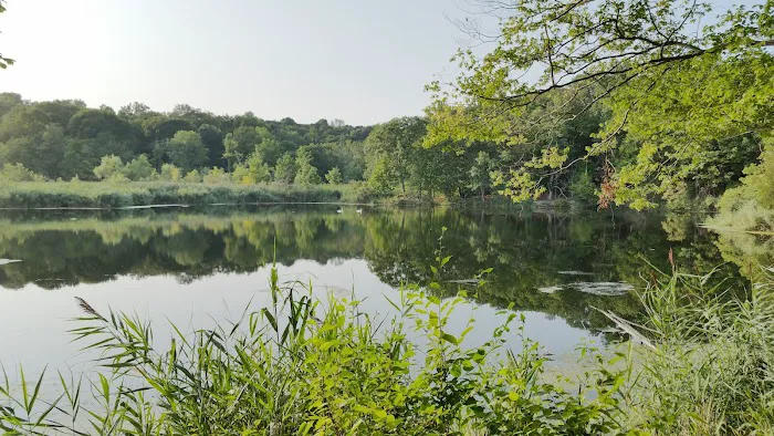 George’s Island Park Picture 1