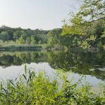 George’s Island Park