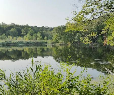 George’s Island Park