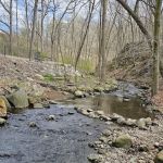 Peekskill Dog Park