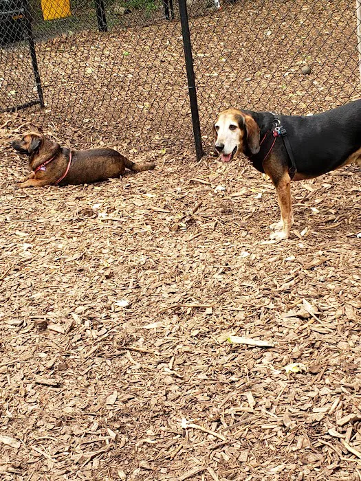 Peekskill Dog Park Picture 6
