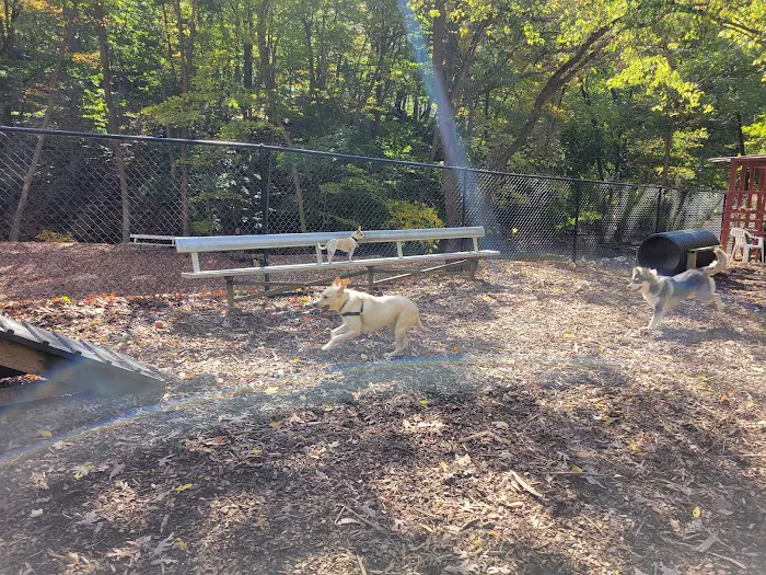 Peekskill Dog Park Picture 7