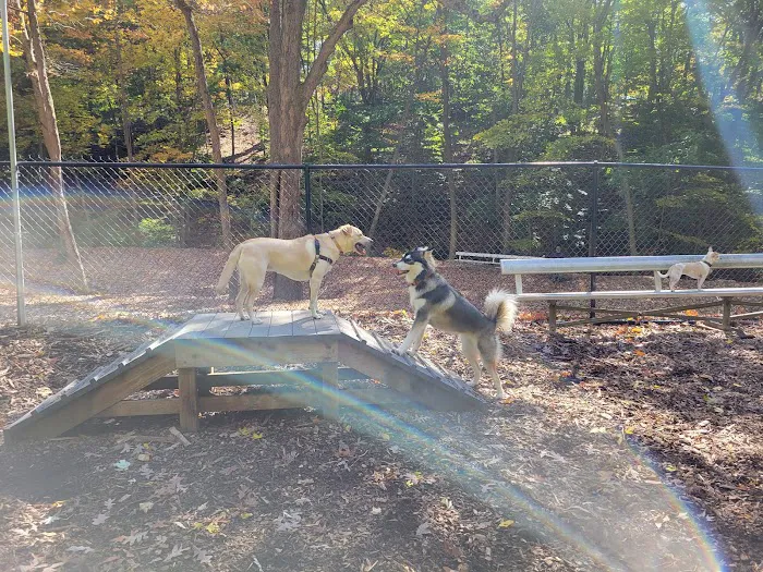 Peekskill Dog Park Picture 3