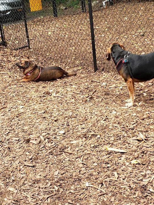 Peekskill Dog Park Picture 8