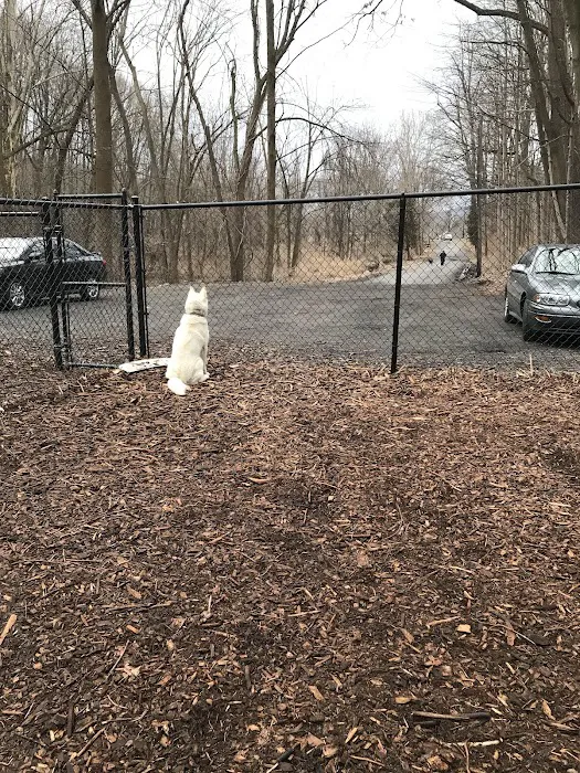 Peekskill Dog Park Picture 4
