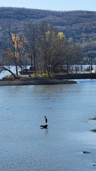 Lents Cove Park Picture 1