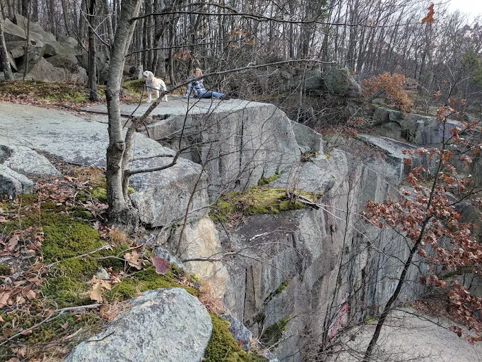 Yorktown Community Dog Park Picture 3