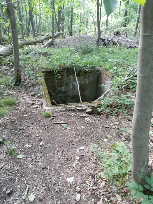 Yorktown Community Dog Park Picture 2
