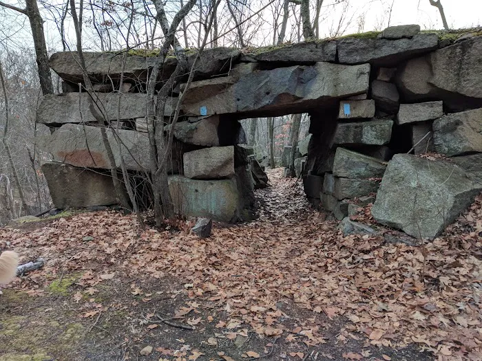 Yorktown Community Dog Park Picture 5