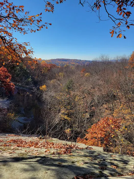 Sylvan Glen Park Preserve Picture 5