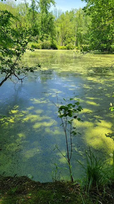 Sylvan Glen Park Preserve Picture 6