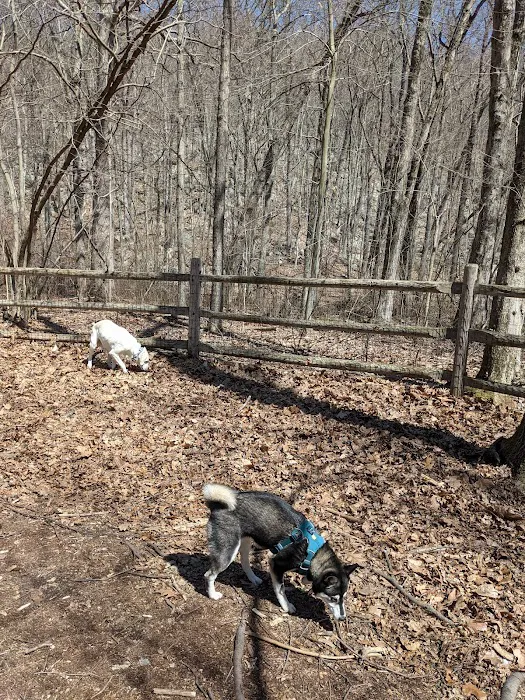 Sylvan Glen Park Preserve Picture 2