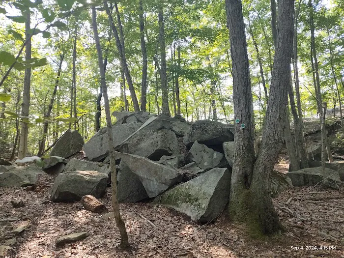 Sylvan Glen Park Preserve Picture 7