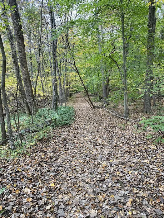 Sylvan Glen Park Preserve Picture 10