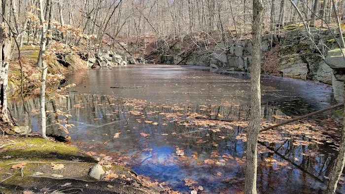Sylvan Glen Park Preserve Picture 4