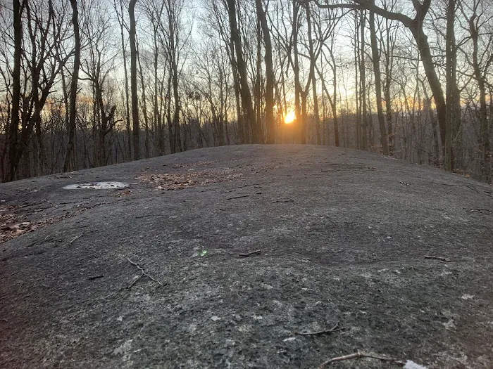 Giant Rock Picture 7