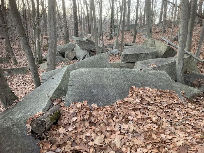 Giant Rock Picture 10