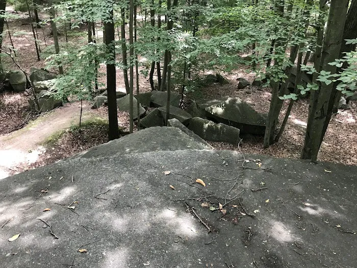 Giant Rock Picture 6