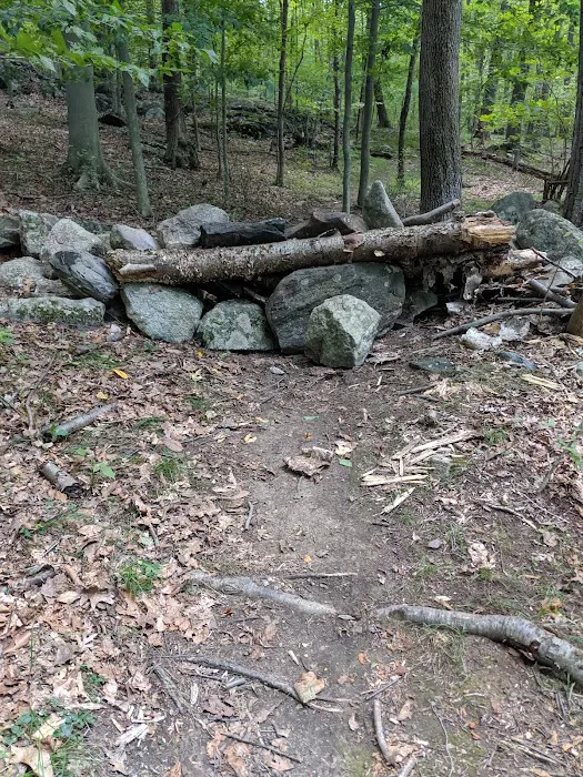 Giant Rock Picture 2