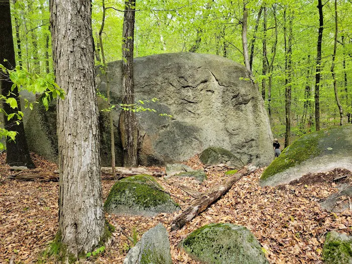 Giant Rock Picture 3