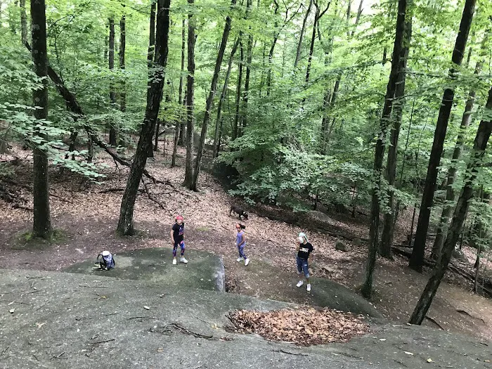 Giant Rock Picture 9