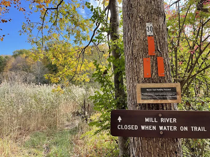 Leon Levy Preserve Picture 1