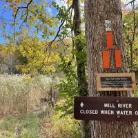Leon Levy Preserve ico